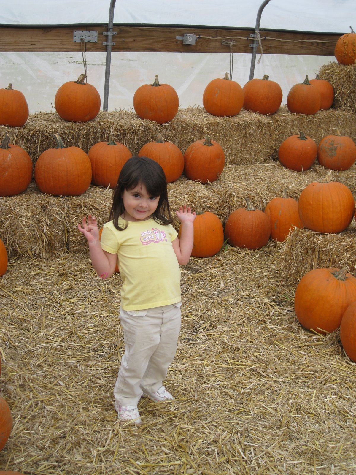[IMG_7471.jpg]