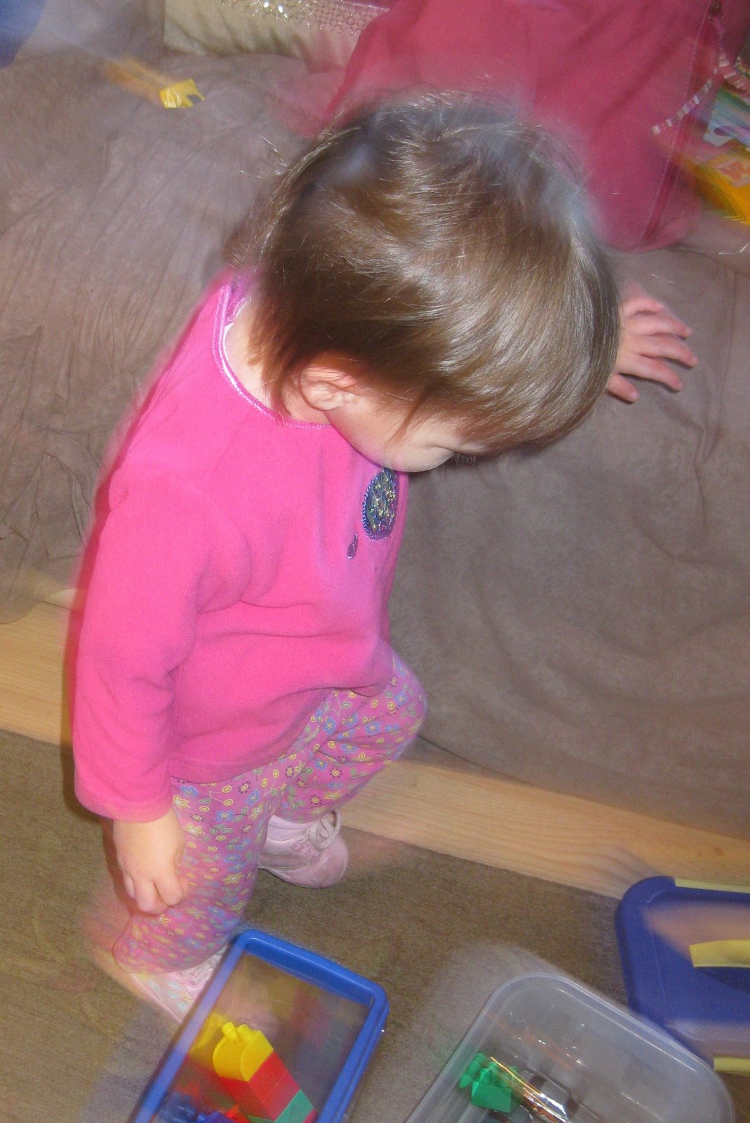 [IMG_7882cropped.jpg]