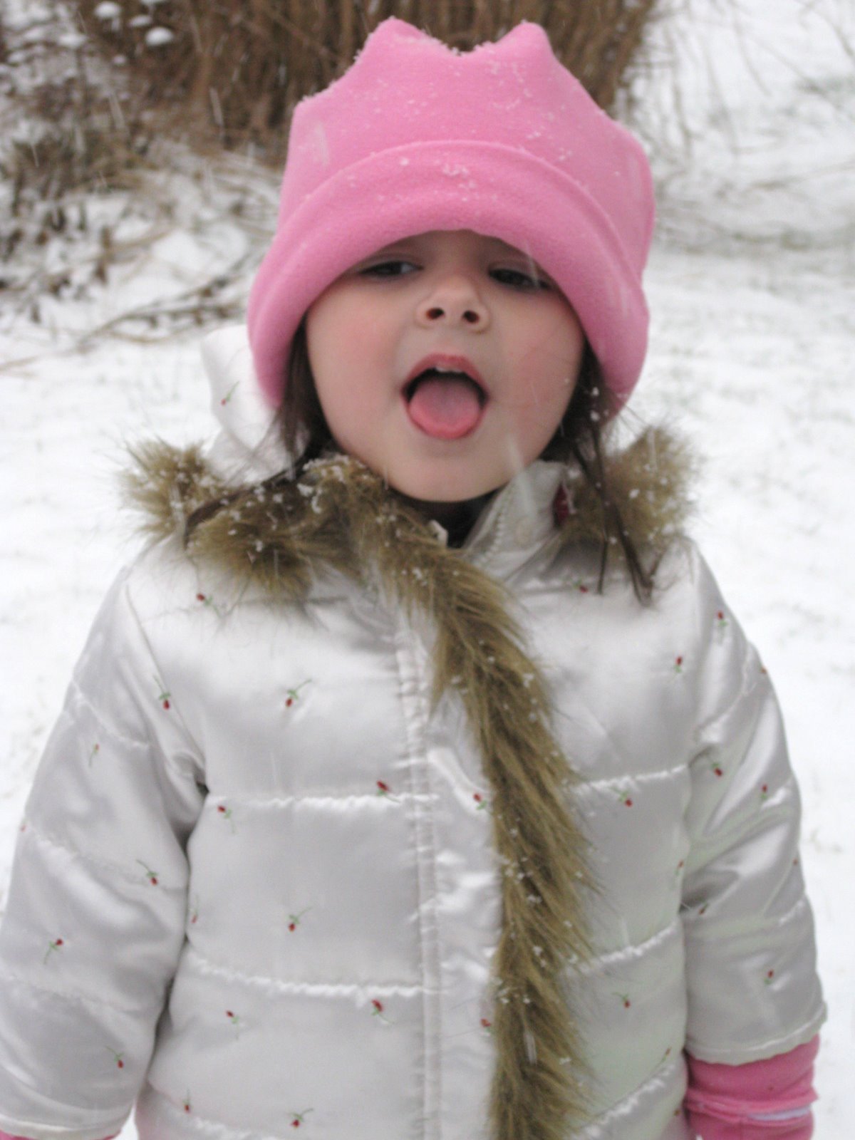 [IMG_8023.JPG]
