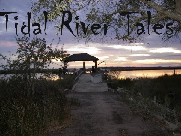 Tidal River Tales