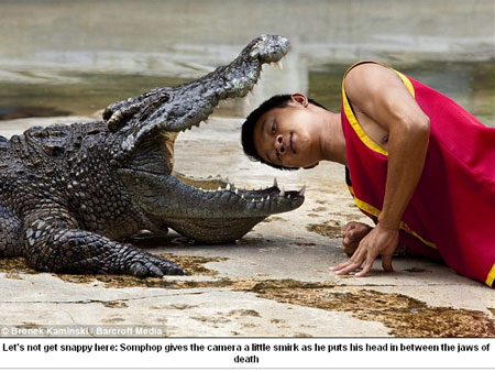 [crocodilo-m-20100104.jpg]