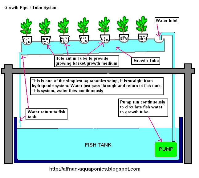 Affnan's Aquaponics Growth Tube System NFT