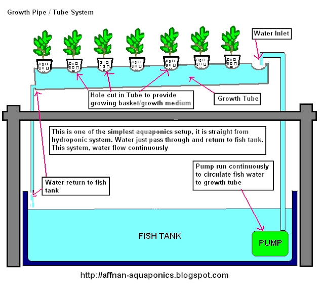 Affnan's Aquaponics Growth Tube System NFT