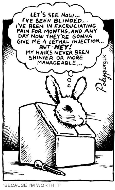 Animals Don't Wear Makeup