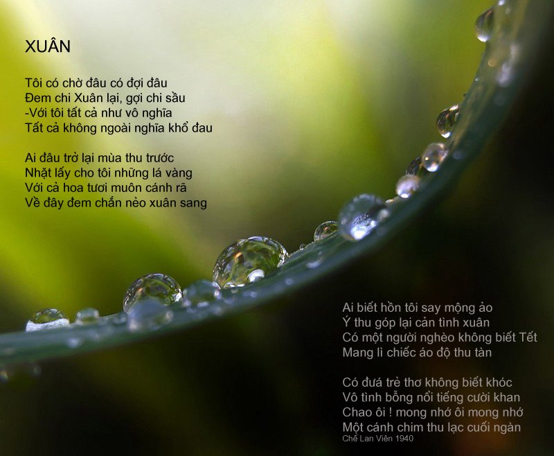 %5bXuan-Che+Lan+Vien.jpg%5d