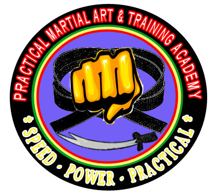 Practical Martial Art And Training Academy