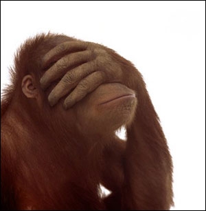 shy%20monkey.JPG
