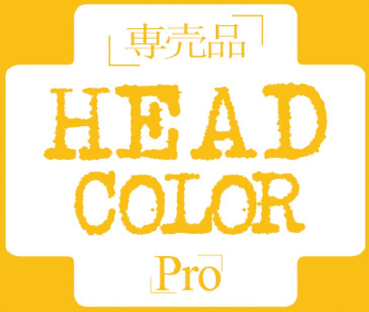 [Head+color+PRO.jpg]