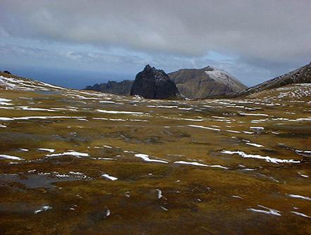 gough nigel gough death notice