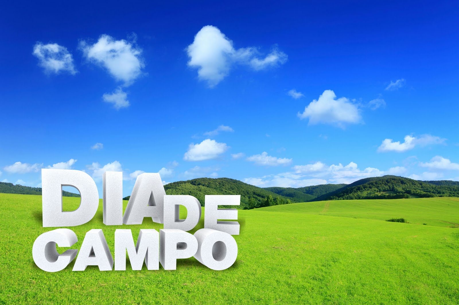dia de campo