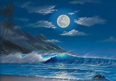 [noche+estrellada.jpg]