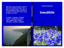 Il mio nuovo romanzo "Inaudibile"