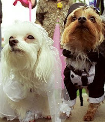 Mr. and Mrs. Dog