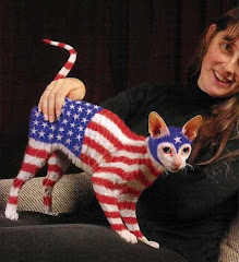 Stars And Stripes Forever cat