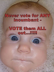 vote ALL incumbants O U T !!