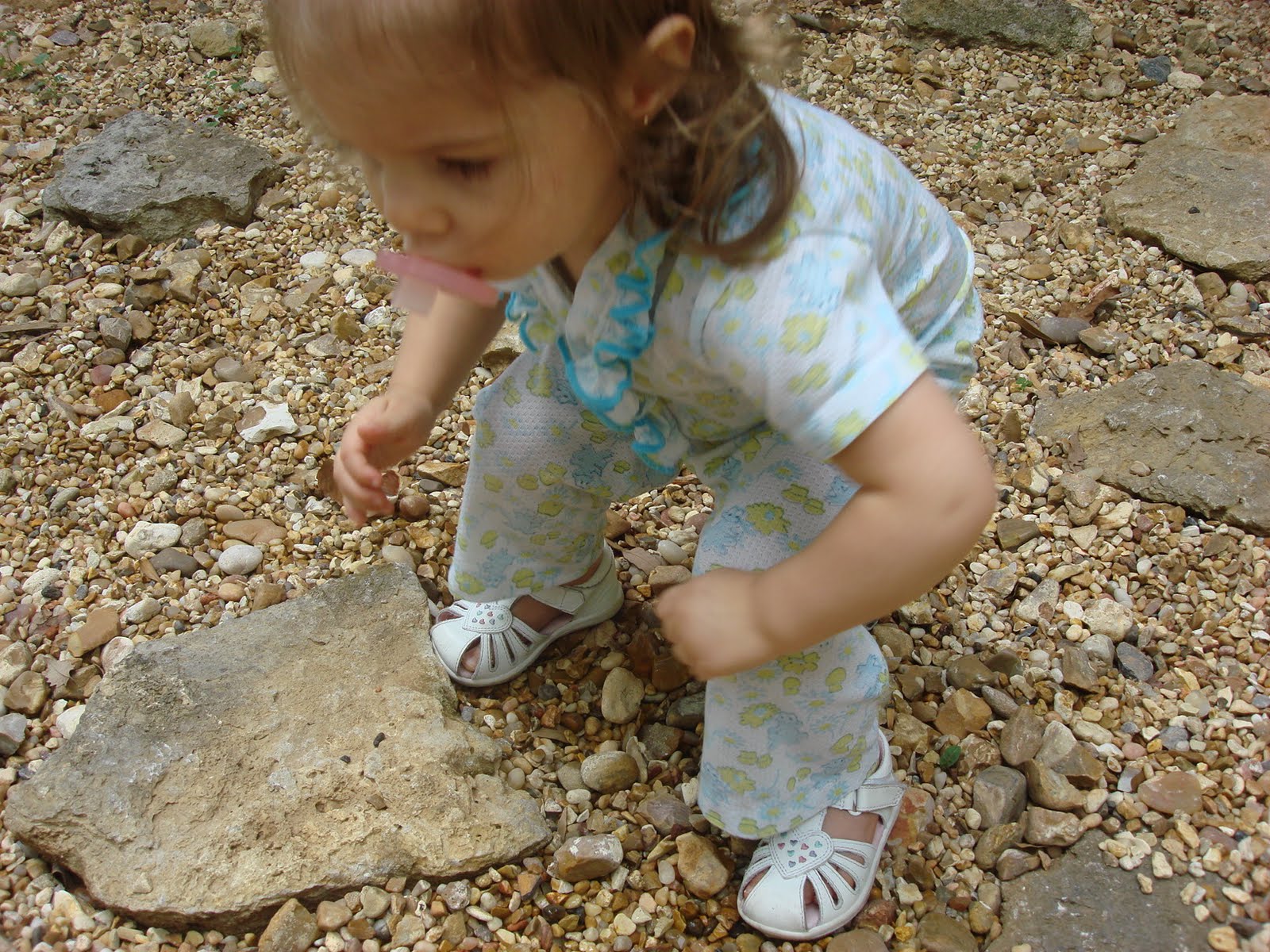 [DSC03945.JPG]