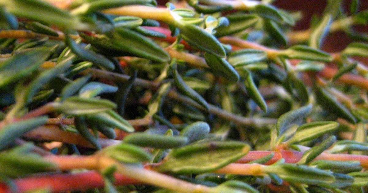 My Own Sweet Thyme Herb Roasted Chicken