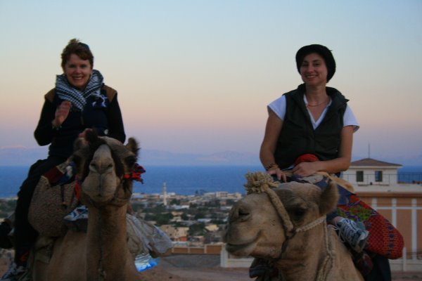 [dahab-sinai034.JPG]