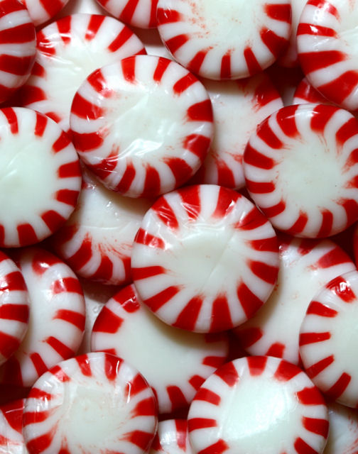 Chocolate and peppermint