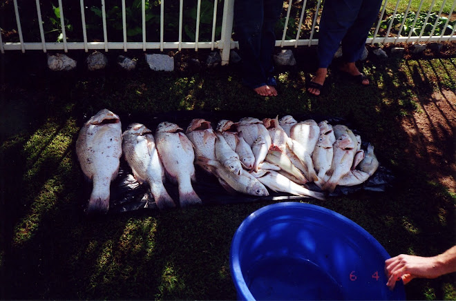 FISHING IN DARWIN