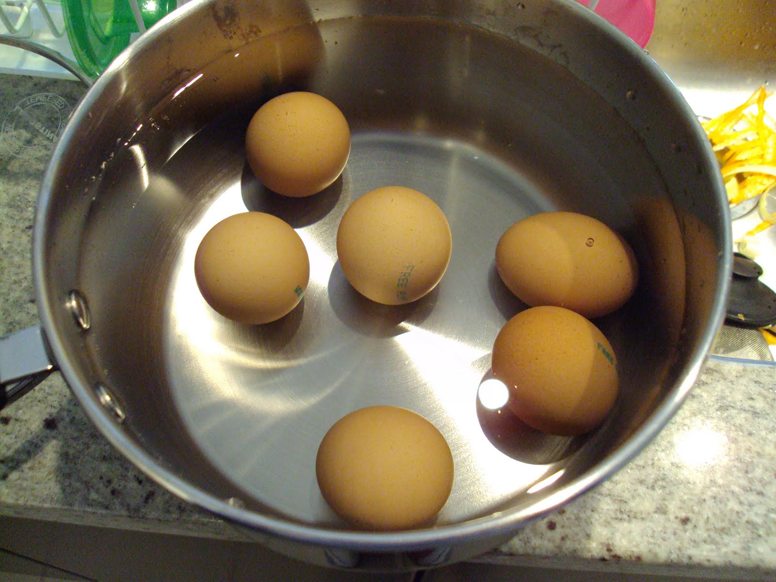 Leanne bakes Testing Eggs for Freshness