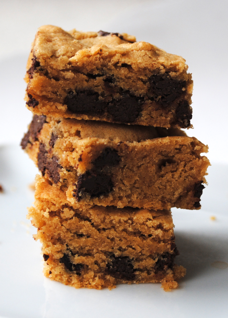 Leanne bakes Fudgy Peanut Butter Chocolate Chip Brownies
