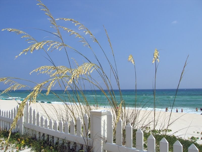 Florida Real Estate Blog Seaside, FL Homes for Sale
