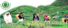SPICTEX INTERNATIONAL