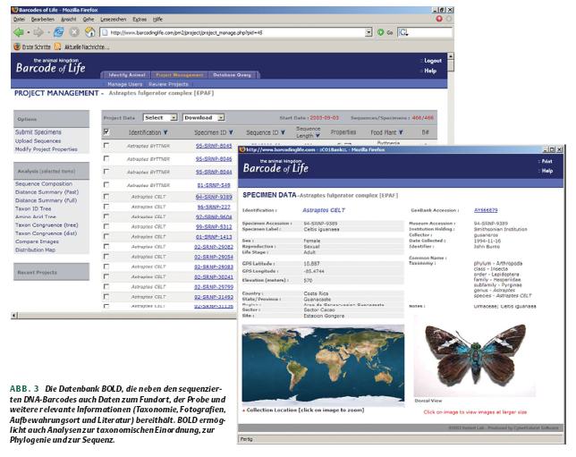 Base de datos en internet