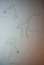 Mis dibujos - Cabezas de dinosaurios