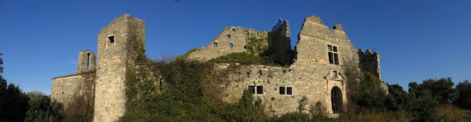 Chateau de Montlaur