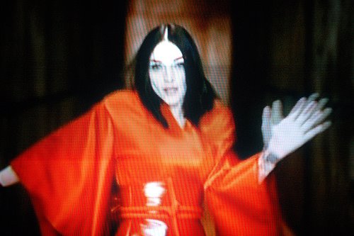 [253669450_426d5b7544[1].jpg]