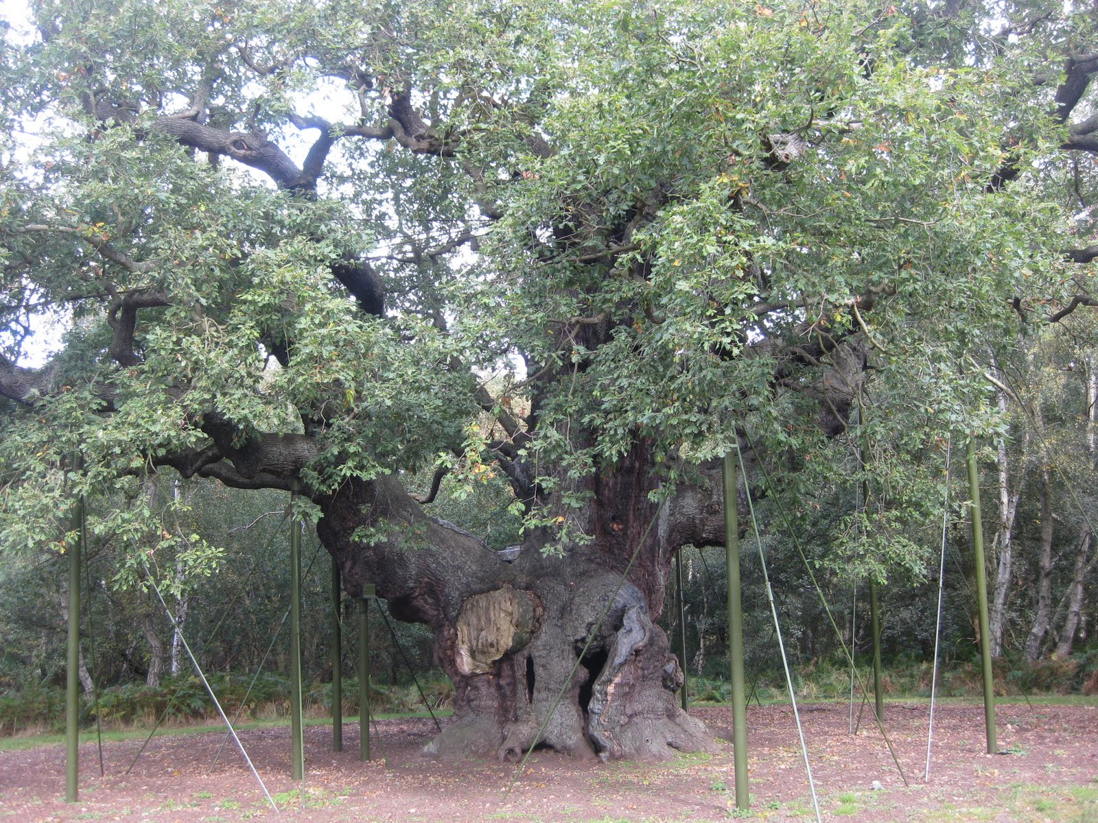 [IMG_3427.JPG]