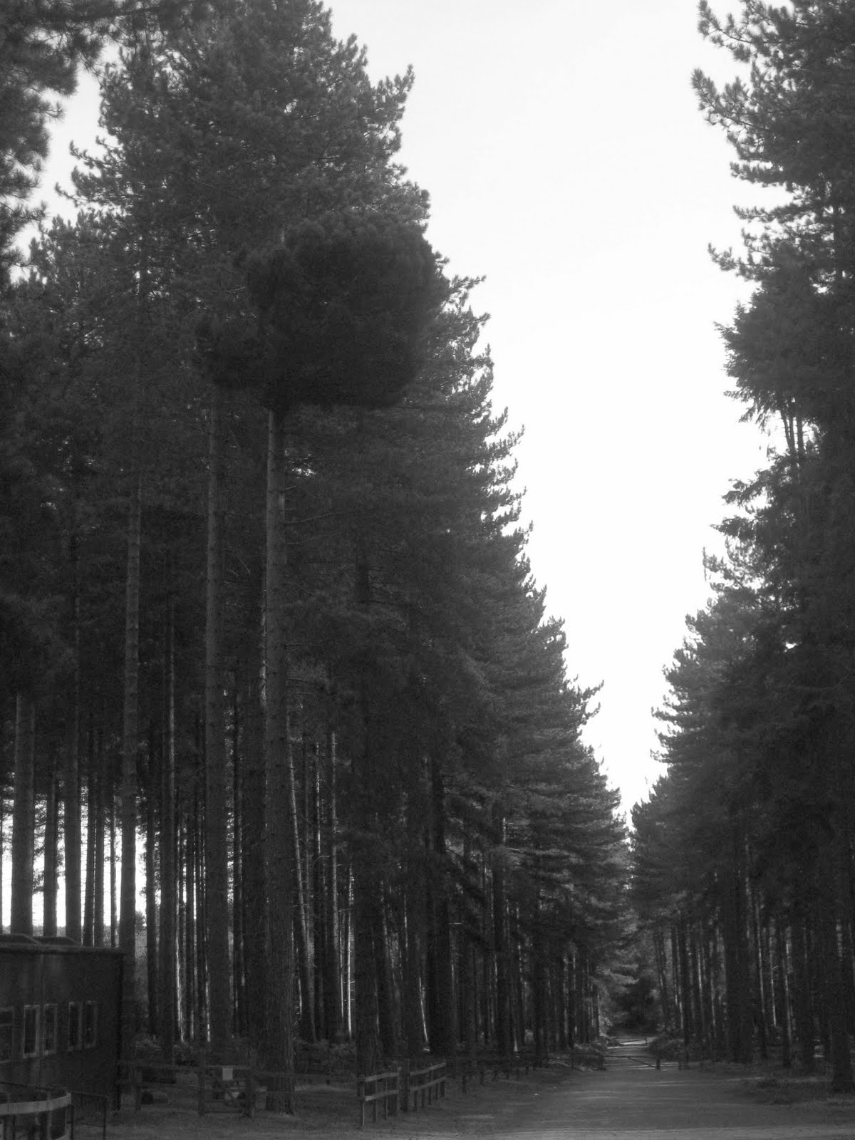 [IMG_3439.JPG]