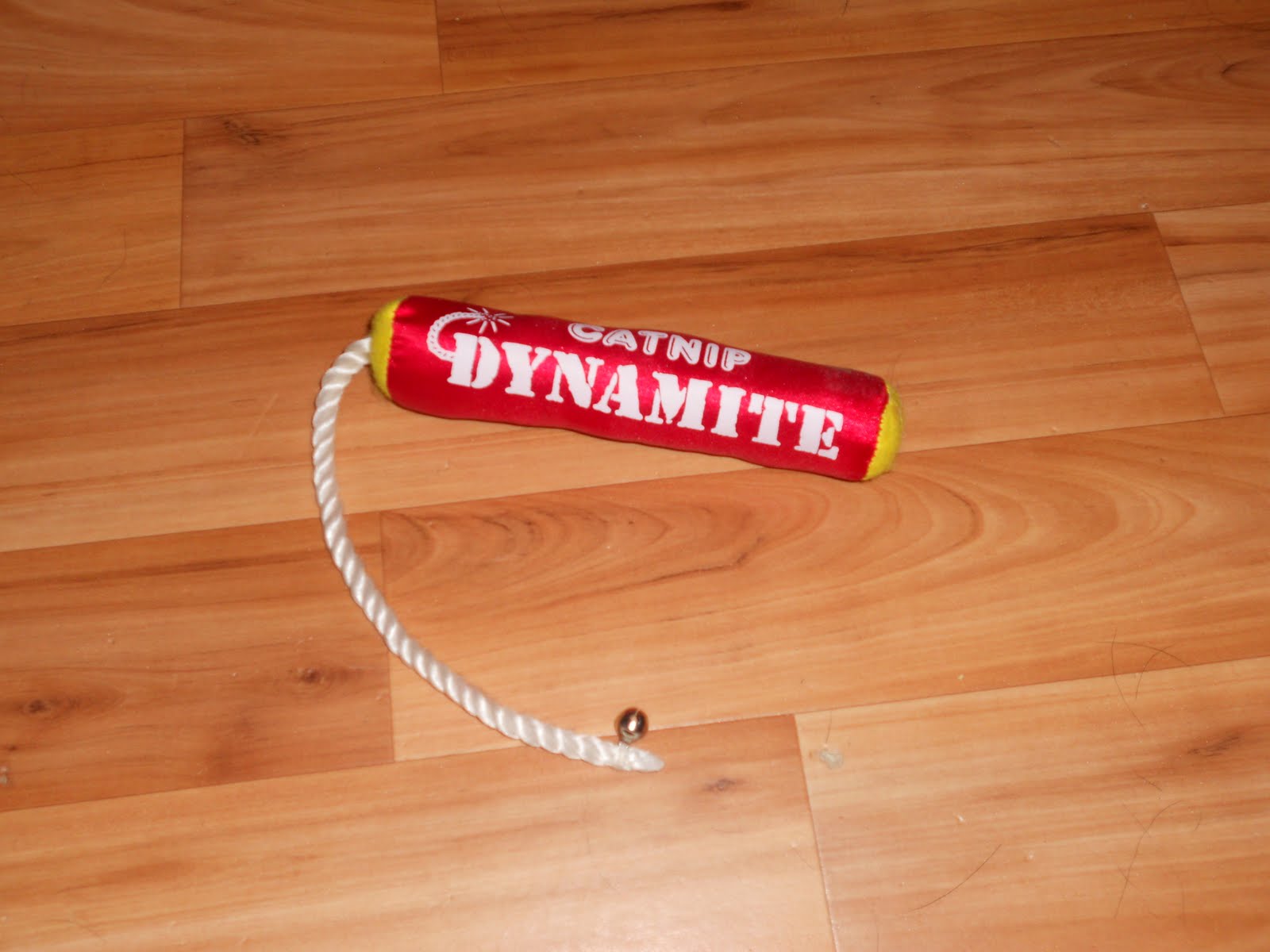 The Paw Relations Tuesday Toysday Dynamite!