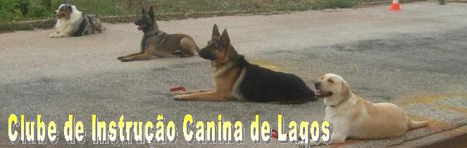 Lagos Canine Training Center