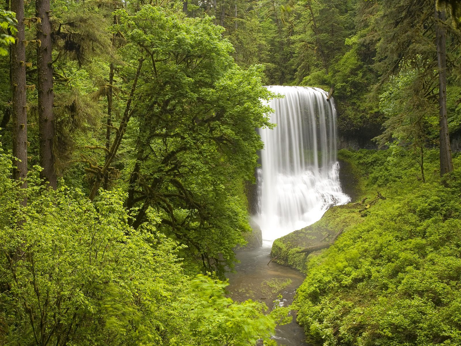 http://3.bp.blogspot.com/_kw1VD16J_Xw/RqoTH3tvSaI/AAAAAAAAAcE/sTNF1xyPjBw/s1600/Middle+North+Falls,+Silver+Falls+State+Park+in+Spring,+Oregon.jpg