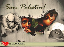 Save Palestine