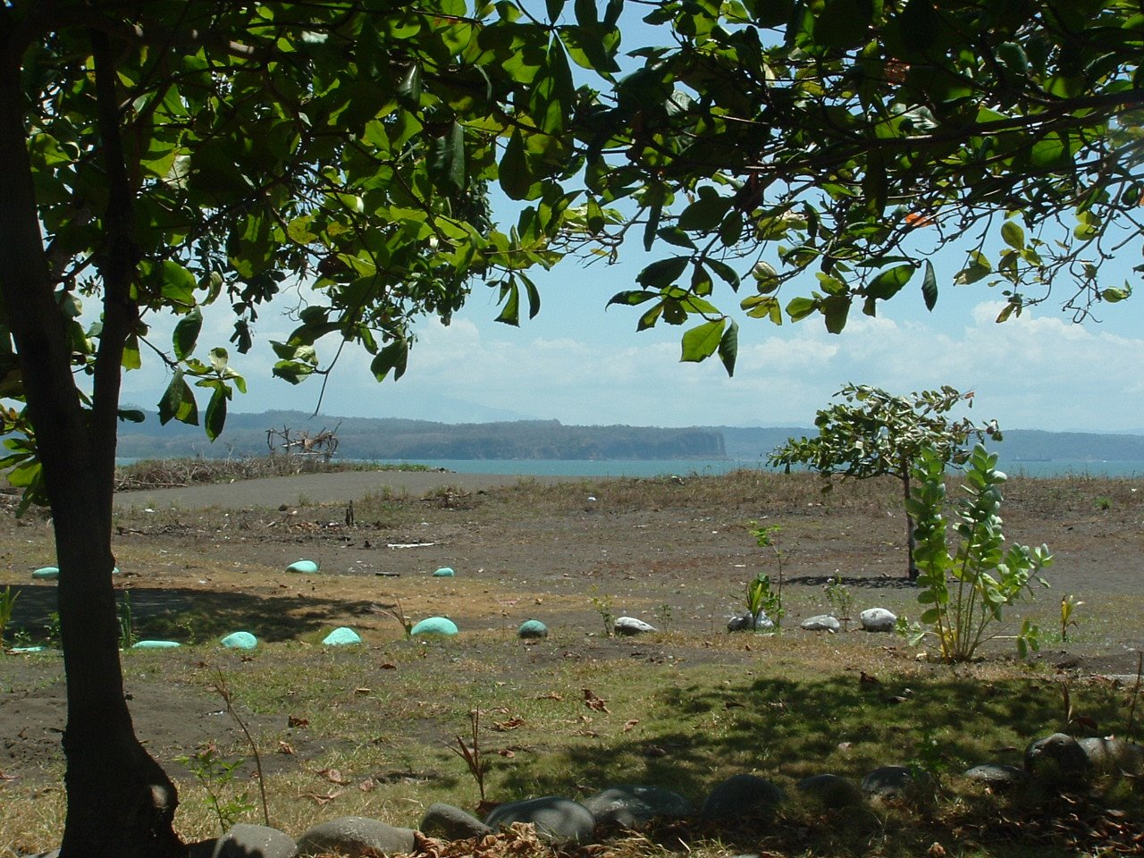 [DSCF0376.JPG]