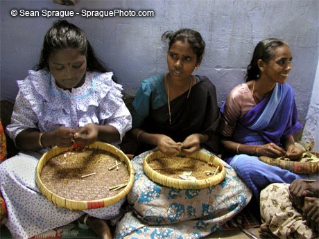 இந்தியாவில் அழகு - மகளிர் தின வாழ்த்துகள் 2010 புகைப்படங்கள் - Page 2 Village+Women+%2811%29