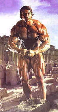 Arnold%2BSchwarzenegger%2BBody%2BBuilding%2BPhotos%2B(35).jpg