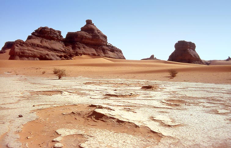 [Imagen: Desert+Caravan+%2831%29.jpg]