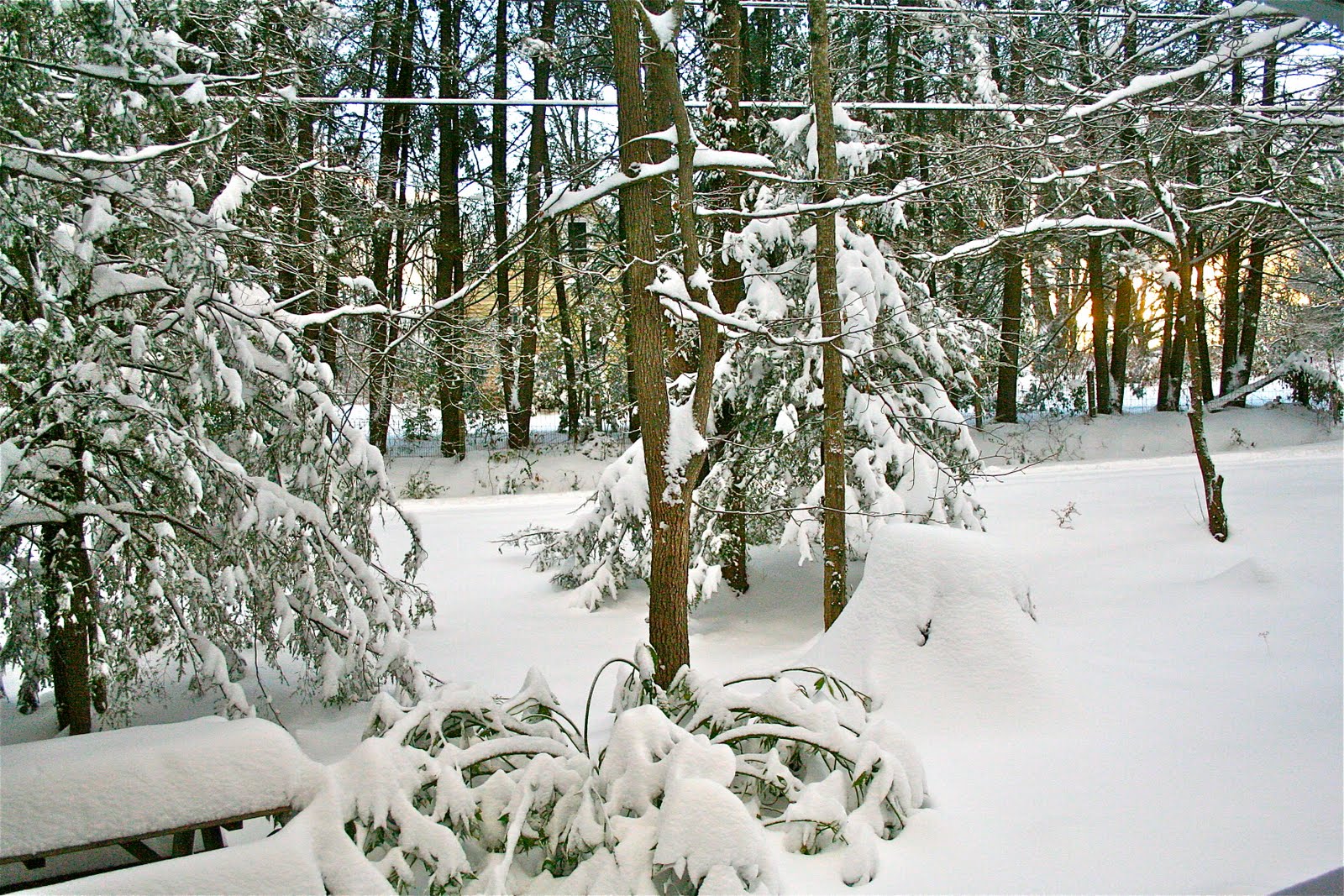 [IMG_5458.JPG]