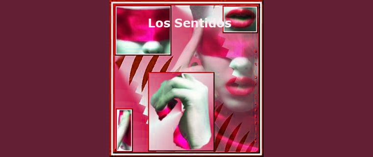 `·.,¸¸,.·´¯Los Sentidos¯`·.,¸¸,.·´