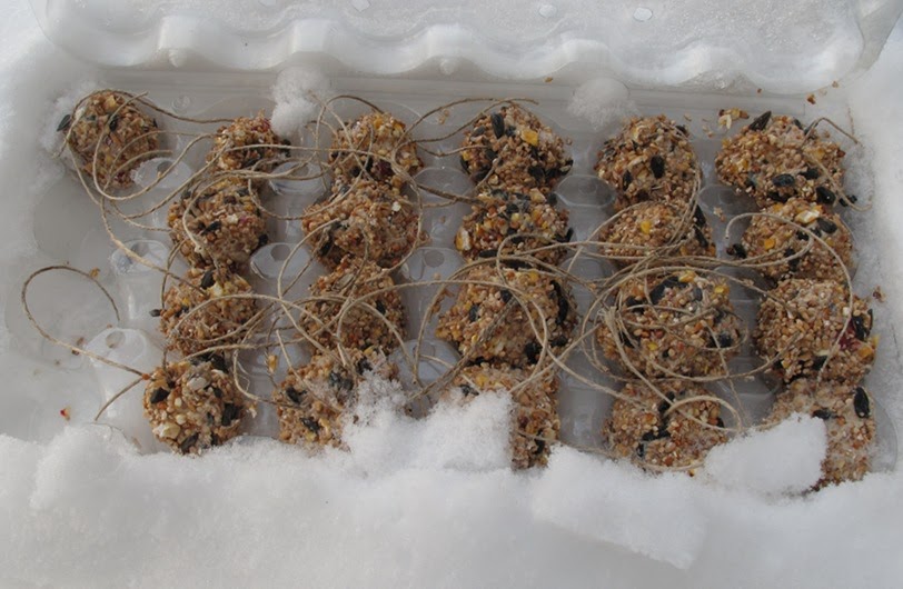 lovely stray Bird Seed Balls