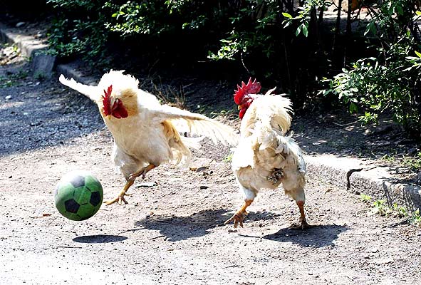 C.A. River Plate vs. river plate shirt. C.A. River Plate vs.