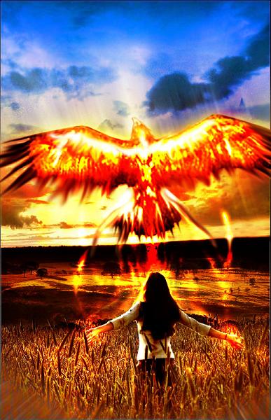 Phoenix is A mythical bird that never dies the phoenix flies far ahead to