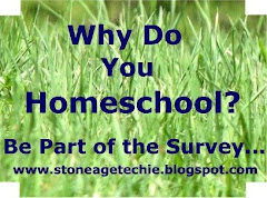 Survey at StoneAgeTechie.blogspot.com