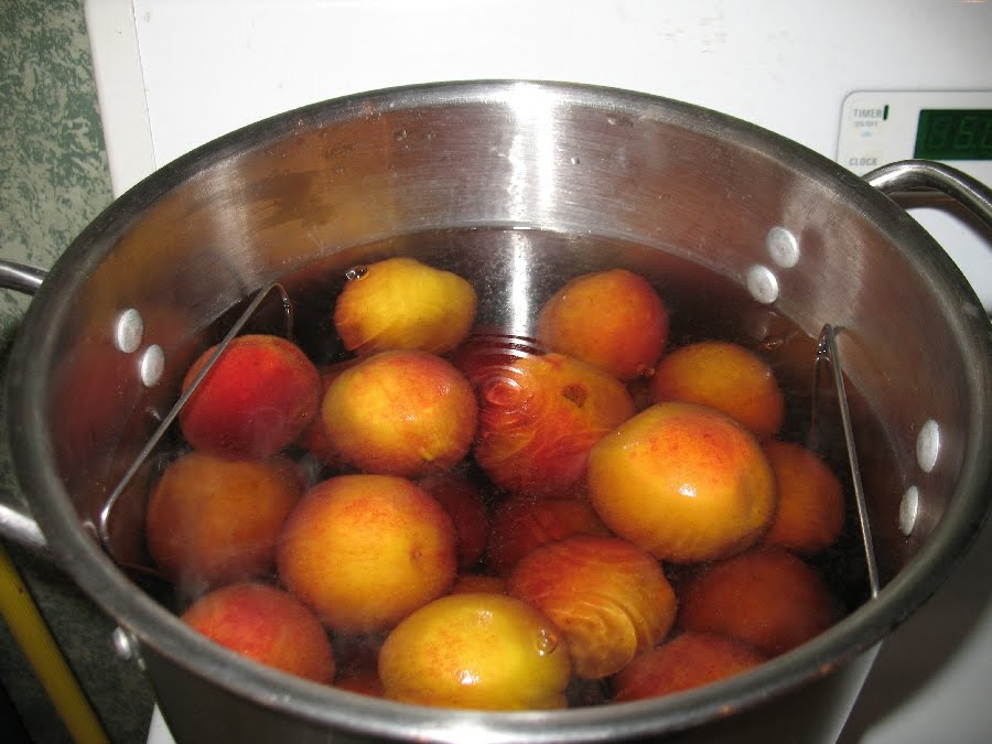 [IMG_3273.JPG]