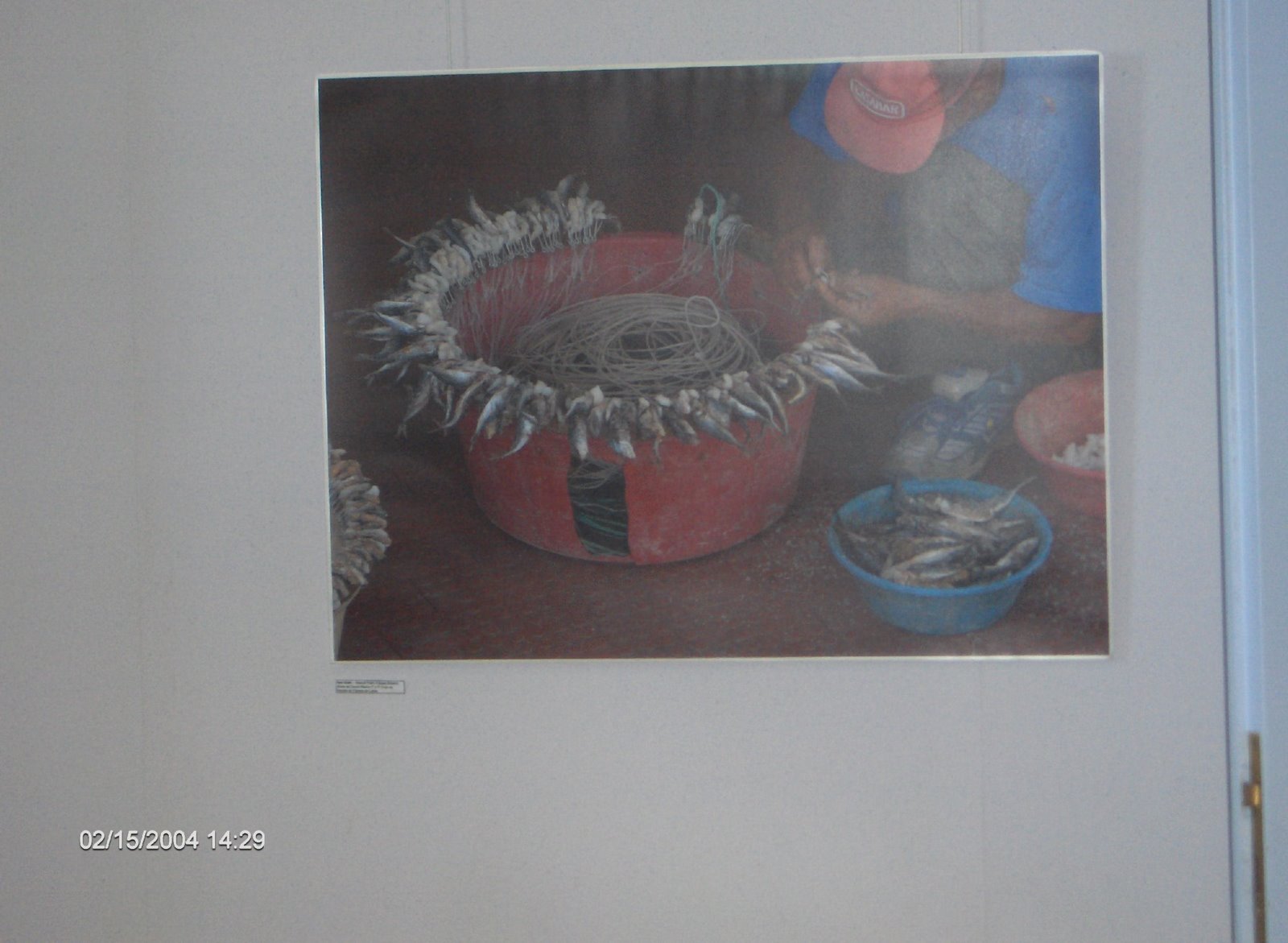 [HPIM4128.JPG]